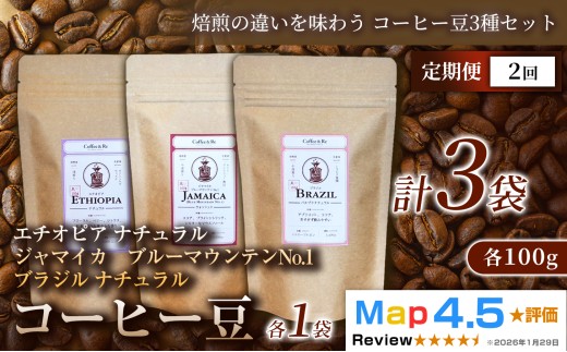 【定期便】【焙煎の違いを味わう コーヒー豆3種セット】(計100g×3袋)×1セット×全2回 コーヒー豆 エチオピア ジャマイカ ブラジル ナチュラル製法 コーヒー豆 コーヒー 焙煎 浅煎り 中煎り 中深煎り 飲みやすい ご褒美 来客用 お取り寄せ ギフト 敬老の日 贈答 贈り物