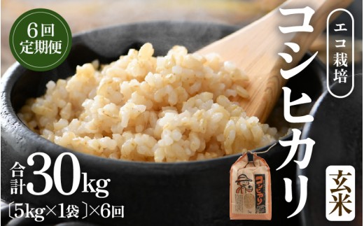 【先行予約】【令和8年産 新米】【一等米】定期便 ≪6ヶ月連続お届け≫ エコ栽培コシヒカリ  玄米5kg×6回 計30kg ／ 鮮度抜群 福井県産 こしひかり ご飯 新鮮 玄米 ※2026年10月上旬以降順次発送 [aw063-e007]