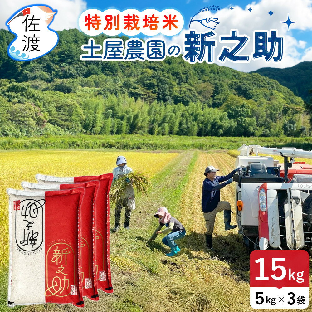 【ふるさと納税】佐渡島産新之助 白米15Kg（5Kg×3袋） 土屋農園 特別栽培米 令和7年産【食の宝島佐渡】