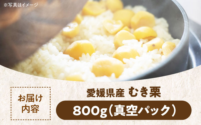 【9月下旬より順次発送】ムキ栗 800g（真空パック）　愛媛県大洲市/沢井青果有限会社 [AGBN032]くり クリ 手作り おやつ スイーツ デザート モンブラン マロン おかし