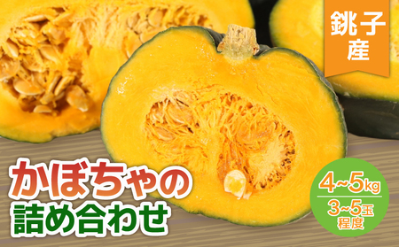 かぼちゃ 詰め合わせ 約3~5玉 カボチャ