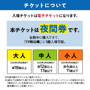 【夜間券】2025年日本国際博覧会入場チケット 大阪・関西万博（小人1名分）万博チケット 万博 ばんぱく EXPO 2025 関西万博 チケット 入場券【103E-008】