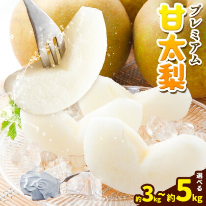 【2026年先行予約】プレミアム 甘太梨 選べる 約3kg 3-10玉 約5kg 5-16玉 高間商店《2026年9月下旬-11月上旬頃出荷予定》 鳥取県 八頭町 梨 なし ナシ 果物 フルーツ 先行予約 ふるさと納税 送料無料 甘い 果実 果汁 デザート