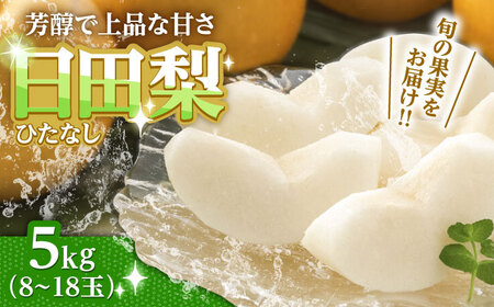 【期間限定】 旬の日田梨 お届け便 約5kg (幸水 豊水 秋月 新高 新興) 日田梨 おまかせ 果物 [ARET008]