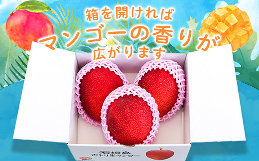 ＜先行予約＞「マンゴー」 ⽯垣島ど真ん中 まるま～さん マンゴー 1kg (2～3玉) ≪2026年7月頃より順次発送予定≫ (アーウィン種)【 産地直送 マンゴー アーウィンマンゴー アップルマンゴ