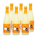 【ふるさと納税】「柚子」リキュール選べる（500ml or 1,800ml）×6本「ゆずにゃん」やまや蒸留所 焼酎 フルーツ 宮崎