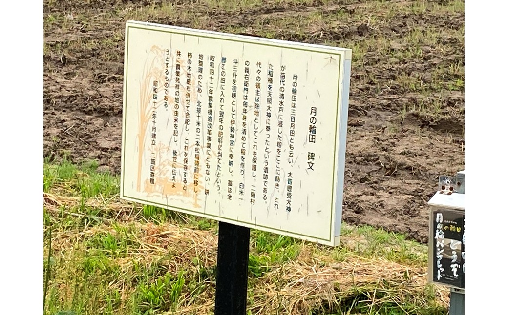 稲作発祥の地。未来へつなぐ「月の輪田・清水戸」の保全と魅力発信に関する活動支援 1口 10,000円【返礼品なし】 京都府 京丹後市 地域応援 地域支援 活動応援 活動支援 京都 丹後 返礼品なし