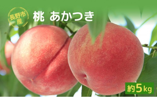
                  【※2027年発送分　先行予約】朝採り・当日発送 長野市産 「あかつき」 約5kg （11～18玉前後） | 牧野果樹園 農家直送 桃 フルーツ 果物 人気 おすすめ ギフト プレゼント 送料無料 長野県 長野市 信州 信濃 ふるさと納税
                