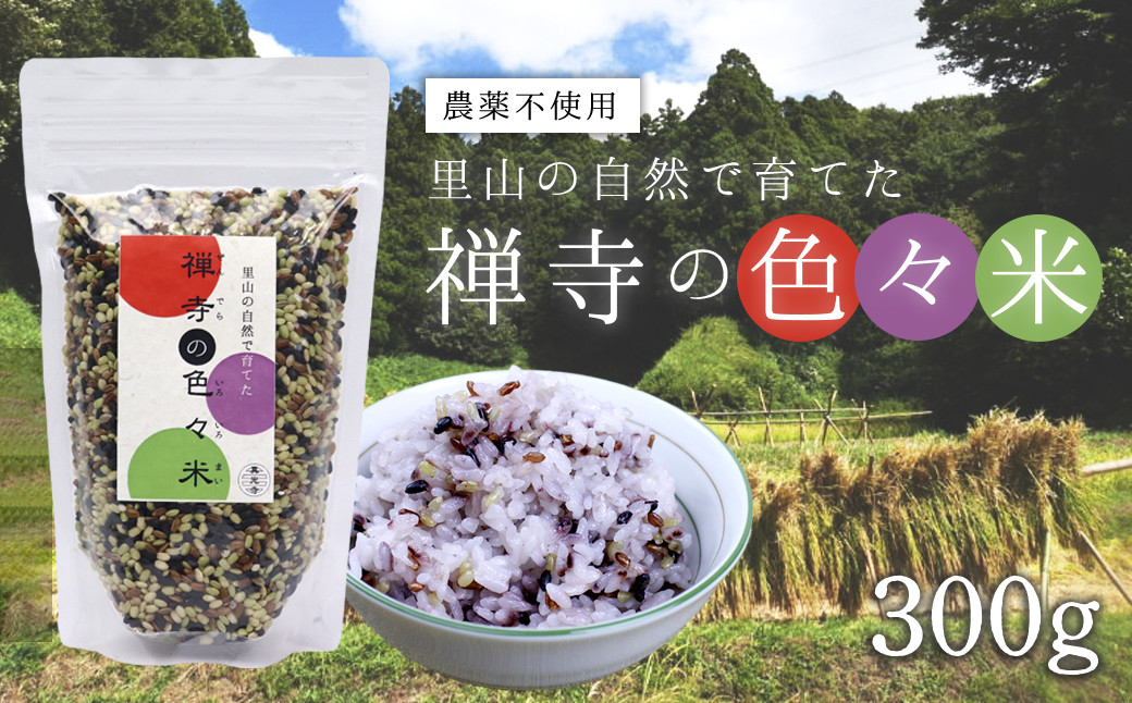 
【農薬不使用】里山の自然で育てた「禅寺の色々米」300g
