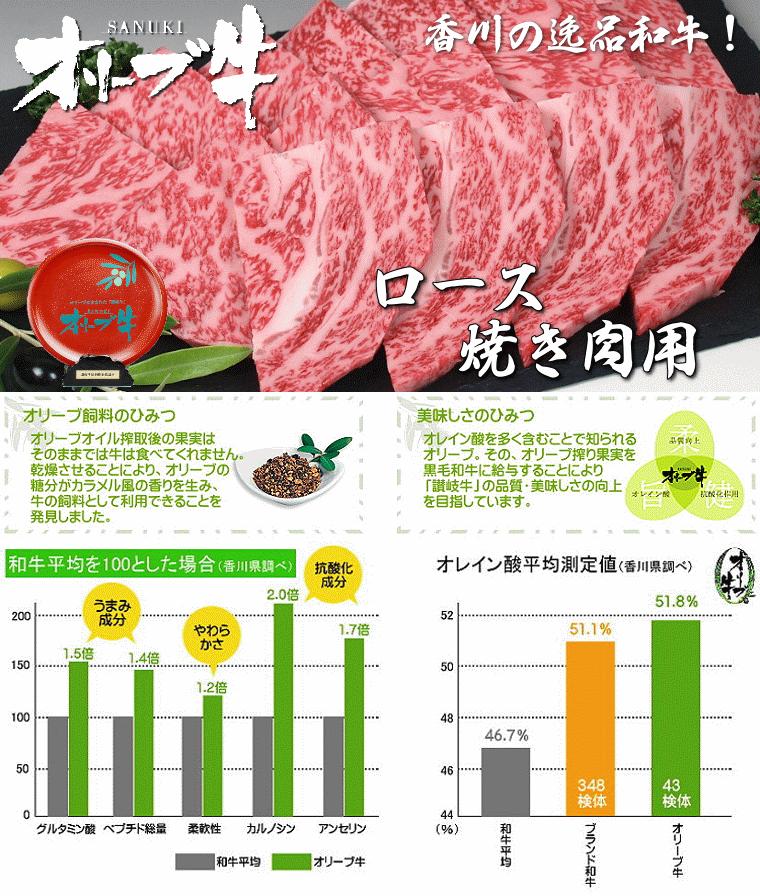 【ふるさと納税】黒毛和牛オリーブ牛ロース焼肉用　約500ｇ×２  秋 旬
