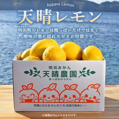 ふるさと納税 西予市 【先行受付】天晴レモン　贈答用　約2kg　れもん　えひめ　果物 |  | 01