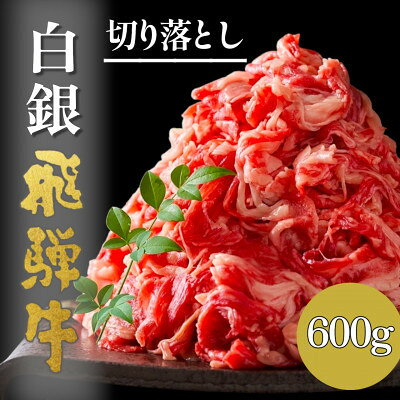 【ふるさと納税】【毎月定期便】A5等級【白銀】飛騨牛切り落し600g全3回【配送不可地域：離島】【4090427】