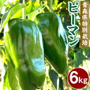 【ふるさと納税】【青森県特別栽培】ピーマン 6kg ピクシー 野菜 旬 青森県 八戸市 東北 国産 送料無料