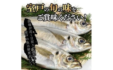 【偶数月定期便】いずま海産のトロアジ干物8枚頒布会【6回お届け】干物