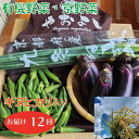 【ふるさと納税】【先行受付】亀岡産 キヌヒカリ 2kg ＆ 野菜詰め合わせ【定期便】合計12回お届け 有機野菜 ・ 京野菜 の『京都やおよし』オーガニック 有機栽培 農薬不使用 無農薬 減農薬 旬 新鮮 米 セット ※北海道・沖縄・離島への配送不可 ※2024年10月より順次出荷開始