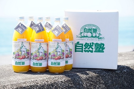 ⑮自然塾　柑橘100%まるごと絞りジュース　６本入り　みかんジュース オレンジ ポンカン 不知火 温州 ドリンク 飲料 飲み物 朝食 無添加 季節 旬