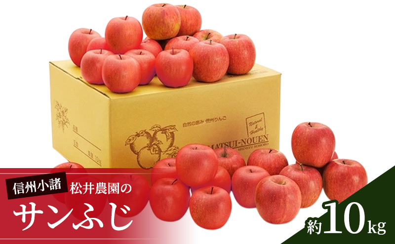 信州小諸　松井農園のサンふじ 約10kg 果物類 林檎 りんご リンゴ 