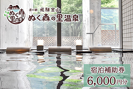 下呂温泉【道の駅 飛騨金山ぬく森の里温泉】宿泊補助券（6,000円分）【a019-2】