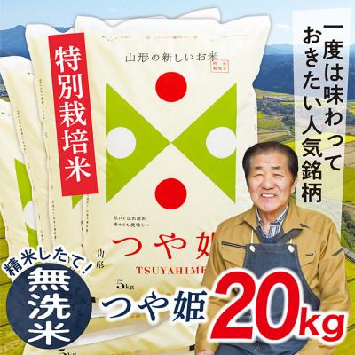 ふるさと納税 最上町 【令和7年産先行受付】山形県産特別栽培米　つや姫20kg(無洗米)