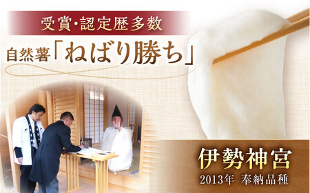 【伊勢神宮外宮奉納】　自然薯『ねばり勝ち』 1本入 / 自然薯 じねんじょ とろろ / 恵那市 / 水戸屋[AUFZ007]