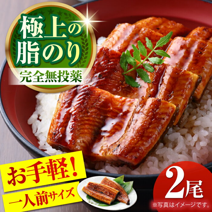 【ふるさと納税】高知県産 うなぎ 蒲焼き 約90g× 2尾 タレ付き 【株式会社 四国健商】[ATAF064] レンチン 蒲焼 かば焼き たれ タレ ウナギ 鰻 小分け 個包装 パック 冷凍 冷凍食品 国産 レンジ レンジでチン おかず 簡単調理 調理済 時短 温めるだけ