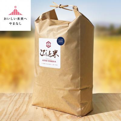 ふるさと納税 山梨県 冷めても美味しい!【令和7年産】こぴっと米【五百川】白米・10kg　特別栽培米
