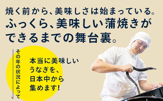 【メール便・常温タイプ】国産うなぎ蒲焼きカット100ｇ（タレ付き）※山椒は付いておりません。(A1006-1)