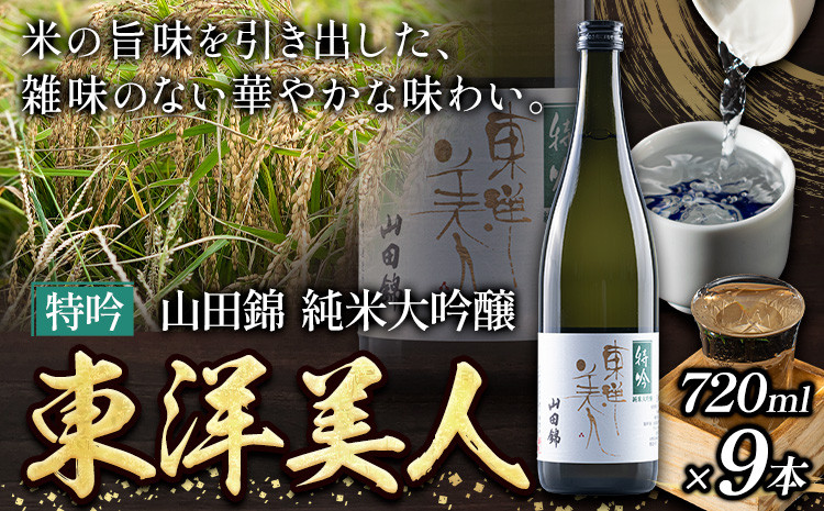 
            日本酒 新酒 東洋美人 特吟 山田錦 純米大吟醸 9本 計6480ml 1本あたり 720ml 福岡吟醸倶楽部株式会社《3月上旬-4月末頃出荷予定》福岡県 鞍手郡 鞍手町 酒 熱燗 送料無料
          