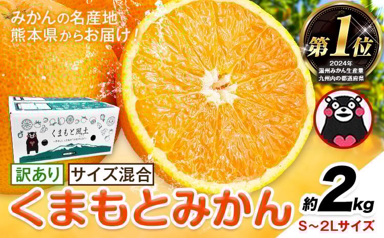 
            【年内発送】みかん 訳あり くまもとみかん 約2kg S-2Lサイズ サイズ混合 ご家庭用《7-14日以内に出荷予定(土日祝除く)》 フルーツ サイズ混合 秋 旬 柑橘 小玉 中玉 大玉 熊本県 荒尾市 熊本県産 荒尾市産含む
          
