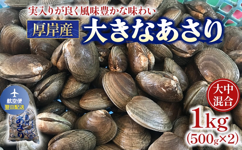 
                  翌日配送 航空便 北海道 厚岸産 あさり 500g×2パック (合計1kg) 大中混合 アサリ 魚貝 海 美味しい 栄養 旨み 砂出し 水洗い 冷蔵 冷凍保存可能 便利[№5863-1525]
                