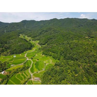 ふるさと納税 大津市 農林22号白米5kg 天日干し 栽培期間中農薬・化学肥料不使用 |  | 01