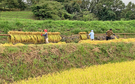 令和7年産 長野市大岡産農薬不使用Japan Alps棚田米10kg お米 