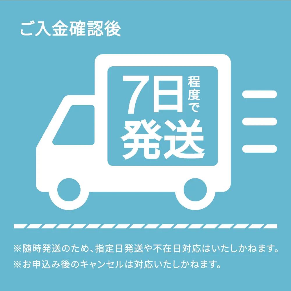 令和7年産 はえぬき 無洗米 10kg