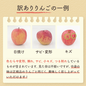 【ふるなびWEEK対象】【2025年12月中旬発送】【訳あり】りんご 青森産 約5kg サンふじ FN-Limited-PR