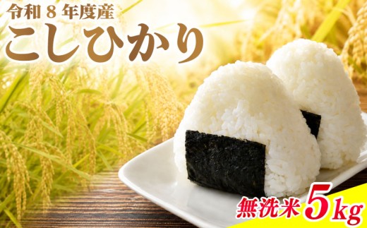 無洗米 新米 こしひかり 5kg 米 令和8年度 米5kg 数量限定 コメ おこめ 白米 無洗米 むせんまい コシヒカリ おにぎり 米5キロ 無洗米5kg kome okome  国産 産地直送 無洗米 関東 茨城県 鹿嶋市 