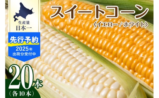 【先行予約】【2025年産】北海道十勝芽室町 とうもろこし イエロー種10本 ホワイト種10本 me002-016c-25