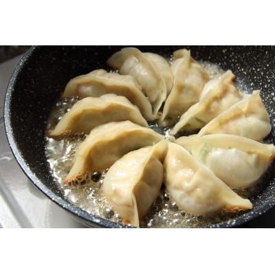 ふるさと納税 滝沢市 生餃子専門店ぽんぽこ　冷凍青しそ生餃子30個