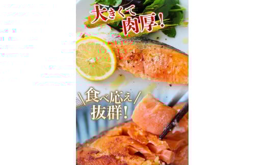 【厚切り！】 銀鮭 切り身 3kg うす塩  / 鮭 切身 さけ サケ シャケ 大きい 塩 冷凍 おかず お弁当 魚 和歌山県 田辺市 ご家庭用 正規品【mts008-1】