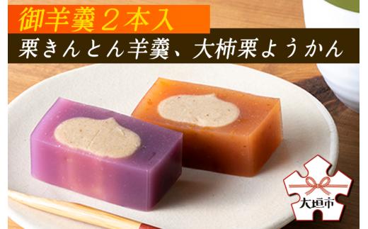 【秋の大感謝祭開催中！飛騨牛が抽選で当たる】御羊羹２本入（栗きんとん羊羹、大柿栗ようかん）