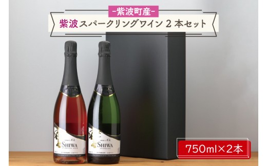 
                  紫波スパークリングワイン２本セット（白・ロゼ）(AL065-1)
                