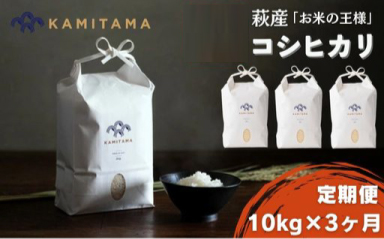 定期便 3か月 コシヒカリ 令和7年 10kg 米 コメ こめ 萩産 KAMITAMA