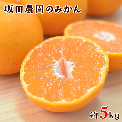 【ふるさと納税】秋 旬 期間限定 大容量 熊本県玉東町産限定『坂田農園』の秀品 みかん 大容量 約5kg(2S-L サイズ) 【日付指定不可】 予約受付中 フルーツ 秋 旬 ゼリー 玉東町70年ベテラン！濃厚 ジューシー 果汁 熊本県玉東町《10月上旬‐1月末頃出荷》