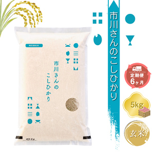 【令和7年産・玄米5kg×定期便6カ月】特別栽培米 市川さんのこしひかり  （2025年11月出荷開始予定）先行予約 新米こしひかり 信州 こしひかり コシヒカリ 長野県 佐久市
