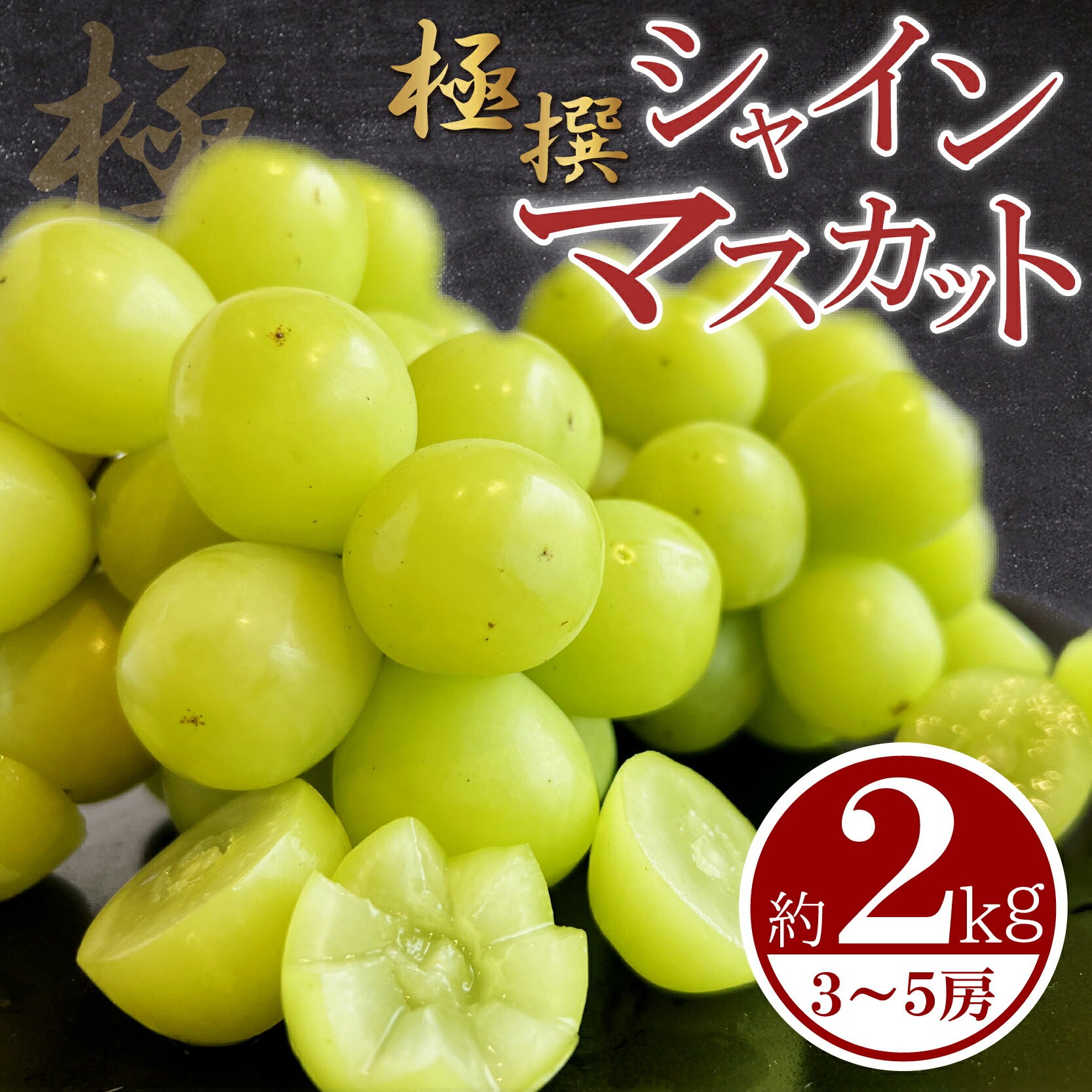 【ふるさと納税】 先行予約 極撰 シャインマスカット 約2kg（3-5房）マスカット ぶどう 葡萄 ふるさと納税シャインマスカット ふるさと納税ぶどう フルーツ デザート ケーキ アイス シャーベット ジェラート 果物 くだもの 人気 おすすめ 糖度 ギフト 贈答 ふるさと納税