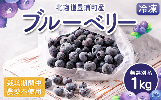 
栽培期間中農薬不使用冷凍ブルーベリー　無選別品　1g 【ふるさと納税 人気 おすすめ ランキング 果物 ブルーベリー 冷凍ブルーベリー 国産ブルーベリー 濃厚ブルーベリー 大容量 無農薬 おいしい 美味しい あまい 新鮮 北海道 豊浦町 送料無料】 TYUS025
