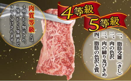 <2025年12月発送分>宮崎県産 宮崎牛バラ焼肉用 250g×4パック 合計1kg