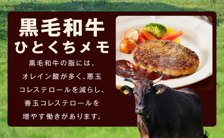 【黒毛牛肉100%】極み ハンバーグ 180g×10P BIGサイズ【ハンバーグ 牛肉 ハンバーグ 黒毛和牛 100%  ハンバーグ 極み ハンバーグ プレミアム ハンバーグ 大型 ハンバーグ BIG
