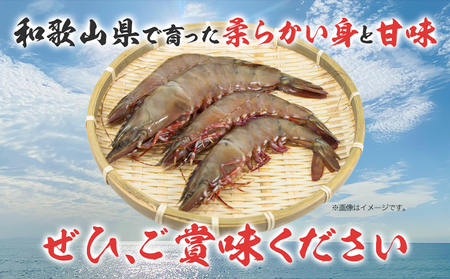 ＜先行予約＞紀州和歌山産天然足赤えび 540g×2箱(270g×4パック) 化粧箱入 魚鶴商店《11月上旬-2月上旬頃出荷》和歌山県 日高川町 足赤えび えび エビ