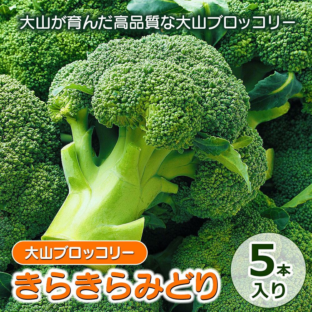 大山ブロッコリー「きらきらみどり」5本入り【発送10月以降】