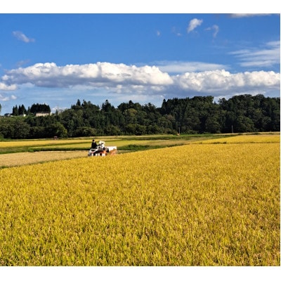 【令和7年産】まっしぐら　玄米30kg【配送不可地域：離島・沖縄県】